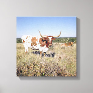 Impressão Em Tela Raça de Texas Longhorn (foto)