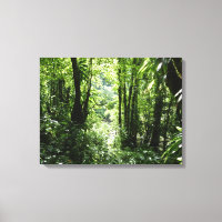 Rain Forest II Tropical Verde