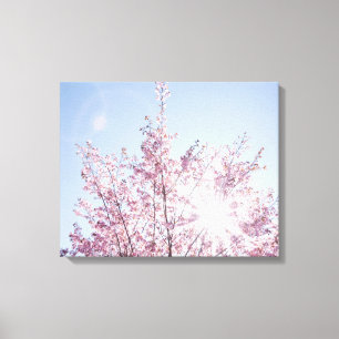 Impressão Em Tela raios solares atravessam flores cor-de-rosa de uma