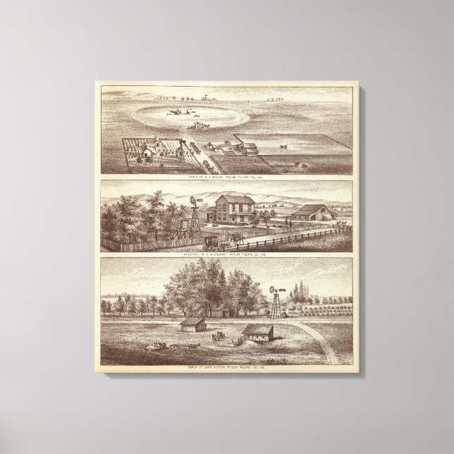 Impressão Em Tela Ranhuras Poplar (Frente)