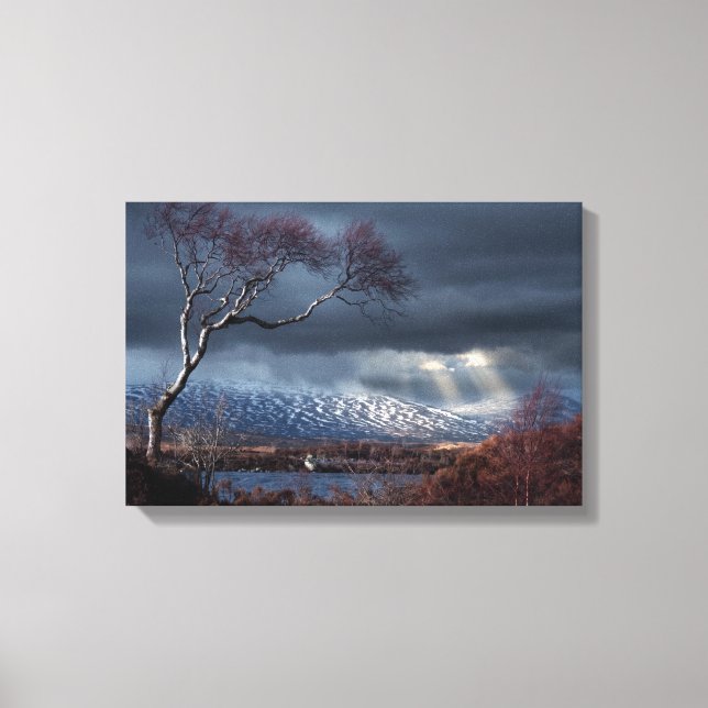 Impressão Em Tela Rannoch Moor Lonesome Tree (Frente)