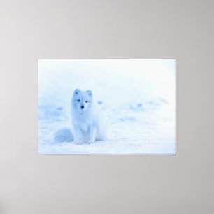 Impressão Em Tela Raposa Branca do Ártico na Neve