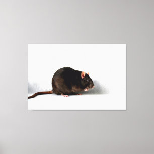 Impressão Em Tela Rat 60x40 (150x100cm) waccn