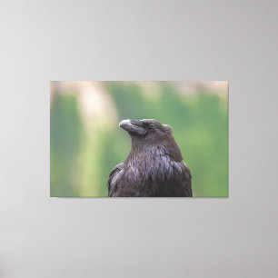 Impressão Em Tela Raven