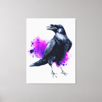 Raven Com Plano De Fundo De Abertura Da Cor Da Águ
