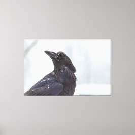 Impressão Em Tela Raven na neve