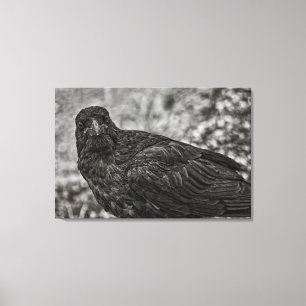 Impressão Em Tela Raven P9239