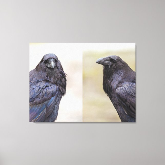 Impressão Em Tela Ravens (Frente)