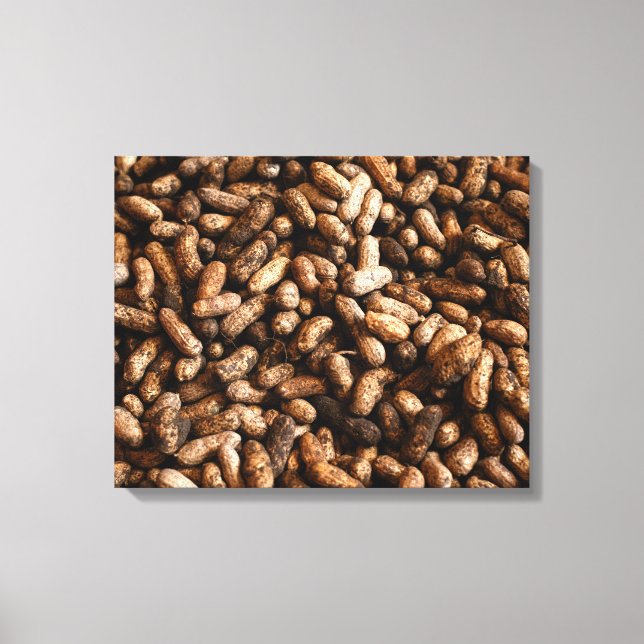 Impressão Em Tela Raw Raw Peanuts in Shell Organic Texture (Frente)
