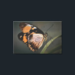 Impressão Em Tela real butterfly wall art, butterfly, butterfly<br><div class="desc">butterfly</div>