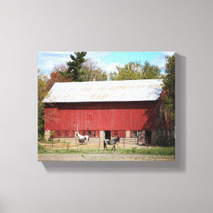 Impressão Em Tela Red Barn Antigo com Cor dos Cavalos 8x10