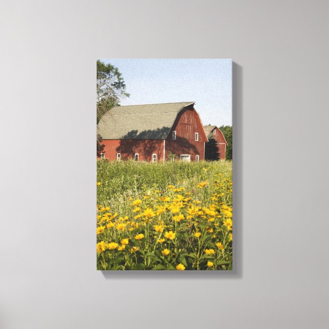 Impressão Em Tela Red Barn com flores silvestres amarelas (Frente)