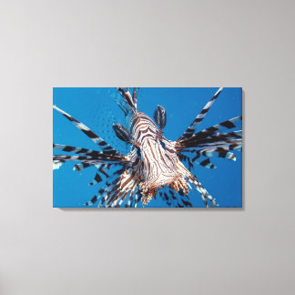 Impressão Em Tela Red Lionfish 2