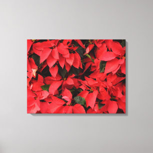 Impressão Em Tela Red Poinsettias II Feriado de Natal Floral