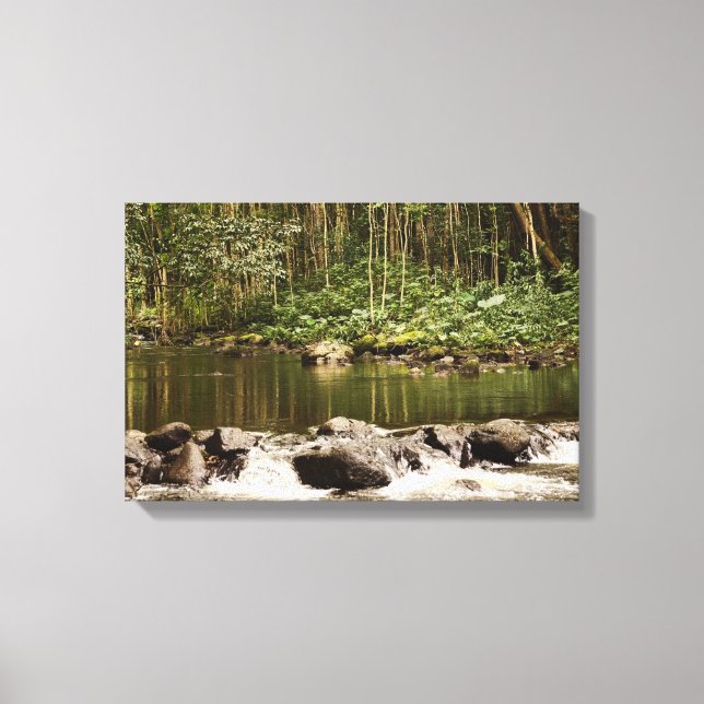 Impressão Em Tela Reflexões sobre a Água (Frente)