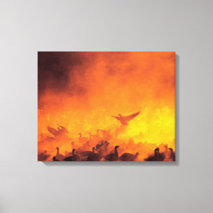 Impressão Em Tela Refúgio Nacional de Vida Selvagem Bosque del Apach