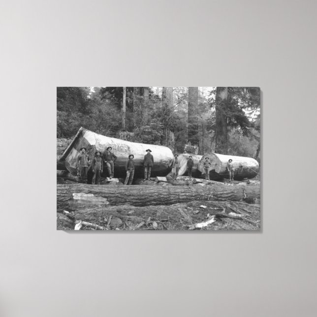 Impressão Em Tela Registro a vapor em cascata do Estado de Washingto (Frente)