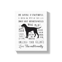 Regras Inspiradoras da Casa dos Animais de Companh