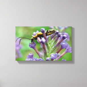 Impressão Em Tela Relâmpago!