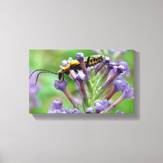 Impressão Em Tela Relâmpago! (Frente)