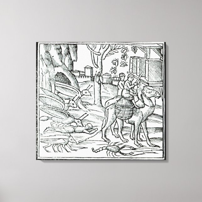 Impressão Em Tela Representação da peste, 1572 (Frente)