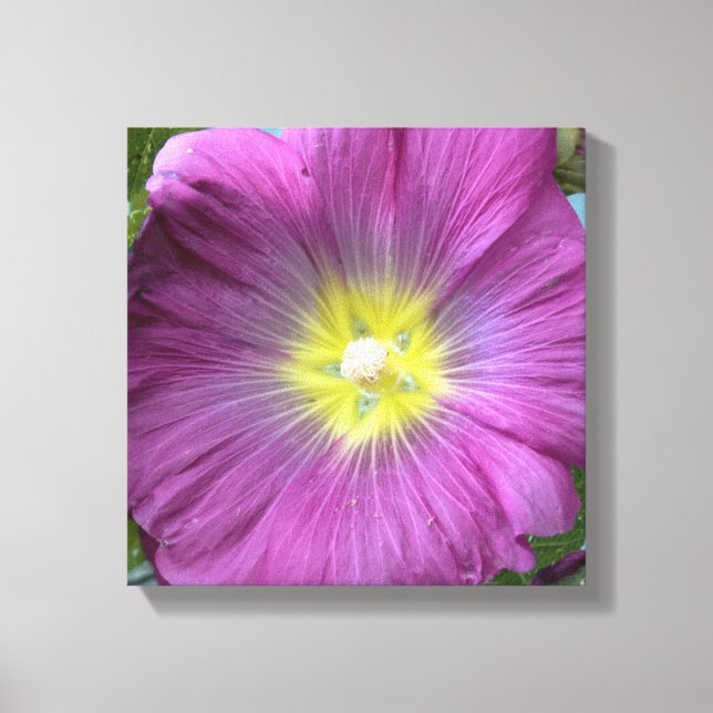 Impressão Em Tela Reprodução do Solteiro de Fotografias com Flor Ros (Frente)