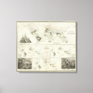 Impressão Em Tela Reptilia, Ophidia