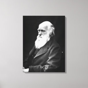 Impressão Em Tela Retrato Charles Darwin