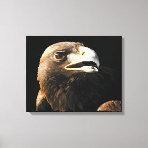 Impressão Em Tela Retrato da águia ouro