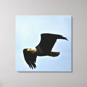 Impressão Em Tela Retrato da natureza da águia americana