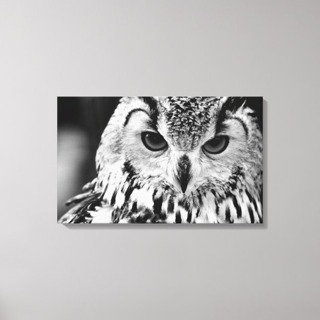 Impressão Em Tela Retrato De Agle-owl Eurasiano Fechado (Frente)