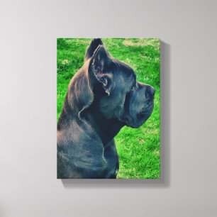 Impressão Em Tela Retrato de Cane Corso