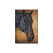Retrato de Cavalo Negro no efeito de pergaminho ru
