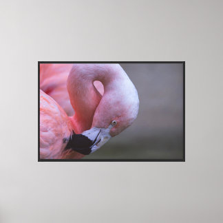 Impressão Em Tela Retrato de Flamingo Rosa em Tela Esticada