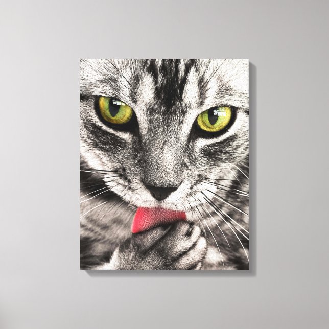Impressão Em Tela Retrato de Gato (Frente)