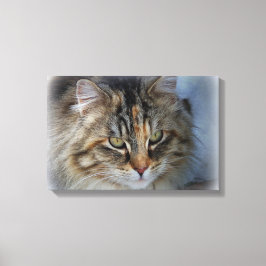 Impressão Em Tela Retrato de Gato Feral em Tela