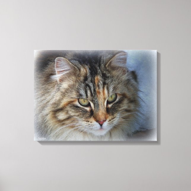 Impressão Em Tela Retrato de Gato Feral em Tela (Frente)