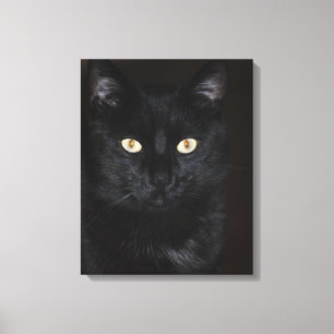 Impressão Em Tela Retrato de Gato Negro
