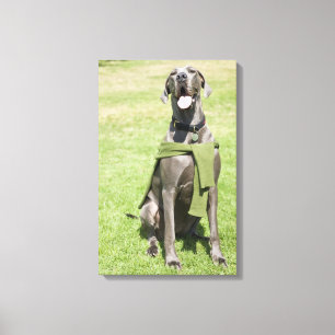 Impressão Em Tela Retrato de great dane azul