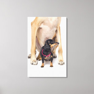 Impressão Em Tela Retrato de great dane e do Dachshund