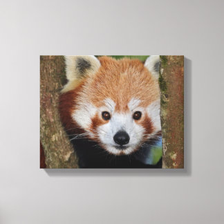 Impressão Em Tela Retrato de Panda em Tela Envolvida