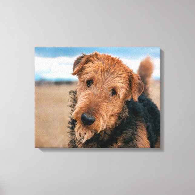 Impressão Em Tela Retrato de um Airedale Terrier (Frente)