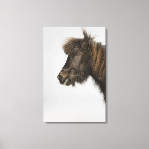 Impressão Em Tela retrato de um cavalo