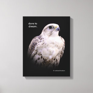 Impressão Em Tela Retrato de um falcão inquisidor de Saker