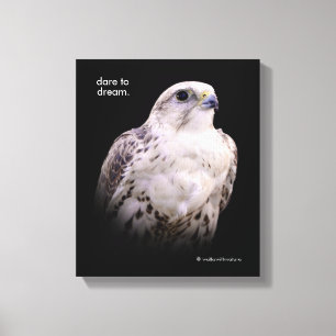 Impressão Em Tela Retrato de um falcão inquisidor de Saker