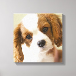 Impressão Em Tela Retrato de um filhote do rei Charles Spaniel
