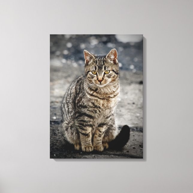 Impressão Em Tela Retrato de um gato (Frente)