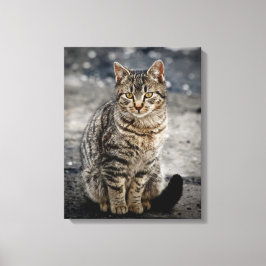 Impressão Em Tela Retrato de um gato