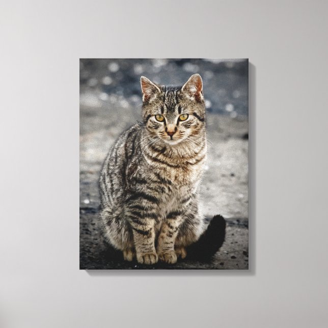 Impressão Em Tela Retrato de um gato (Frente)