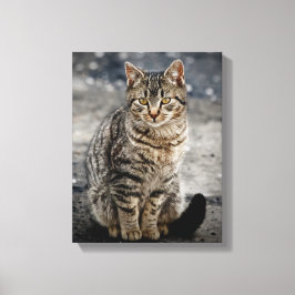 Impressão Em Tela Retrato de um gato